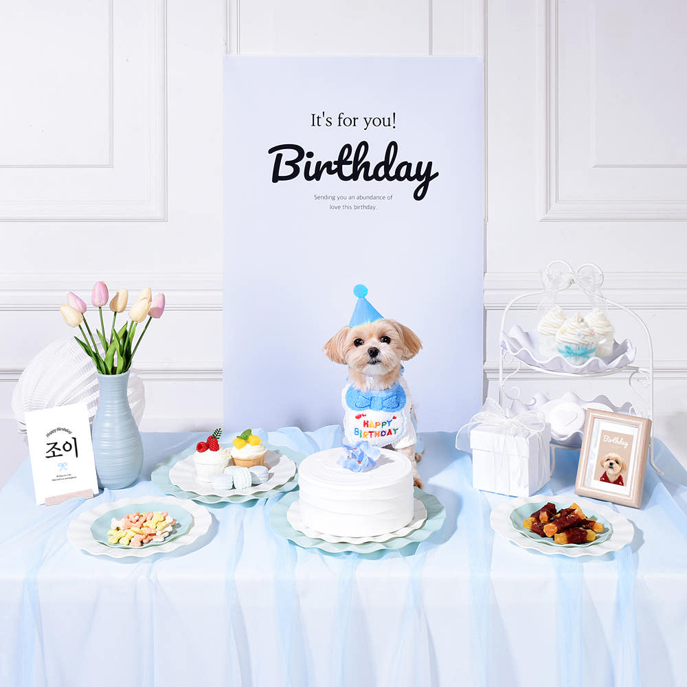 반려동물 생일상 대여 · 베이비 블루 — 베이비 블루 스타일 생일상을 통째로 빌려 드립니다