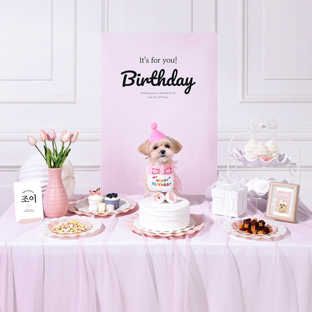 반려동물 생일상 대여 · 베이비 핑크 — 베이비 핑크 스타일 생일상을 통째로 빌려 드립니다
