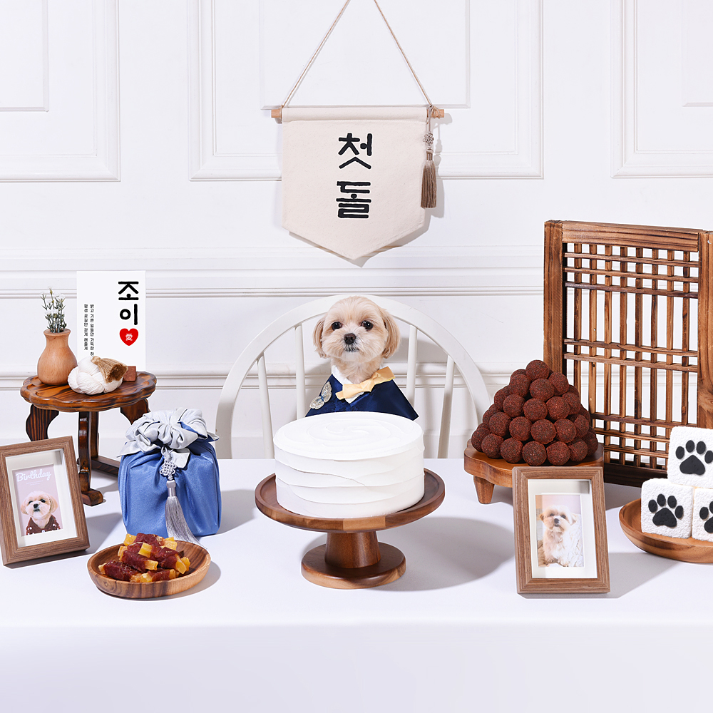 반려동물 생일상 대여 · 전통 블루 — 전통 블루 스타일 생일상을 통째로 빌려 드립니다
