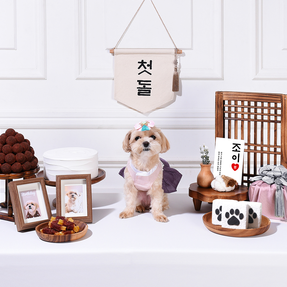반려동물 생일상 대여 · 전통 핑크 — 전통 핑크 스타일 생일상을 통째로 빌려 드립니다